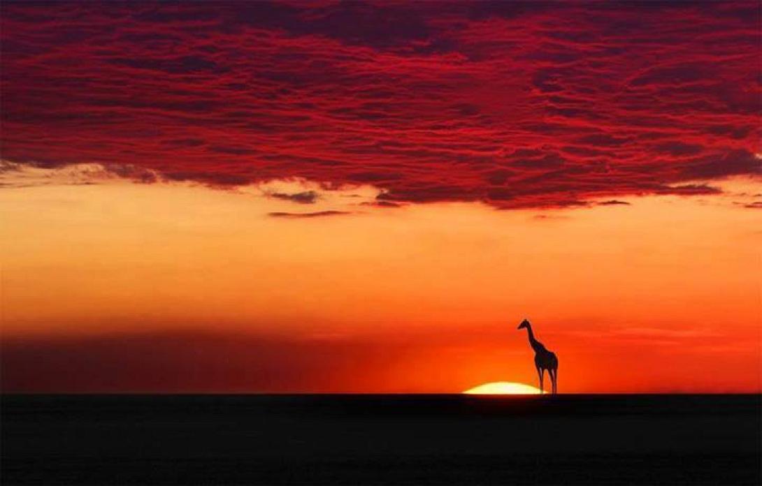 Εξερευνώντας τα καλύτερα μέρη του Google Street View