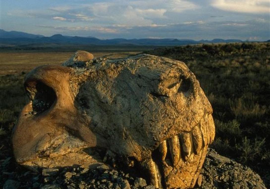great_death-600-x-450-600x420.jpg