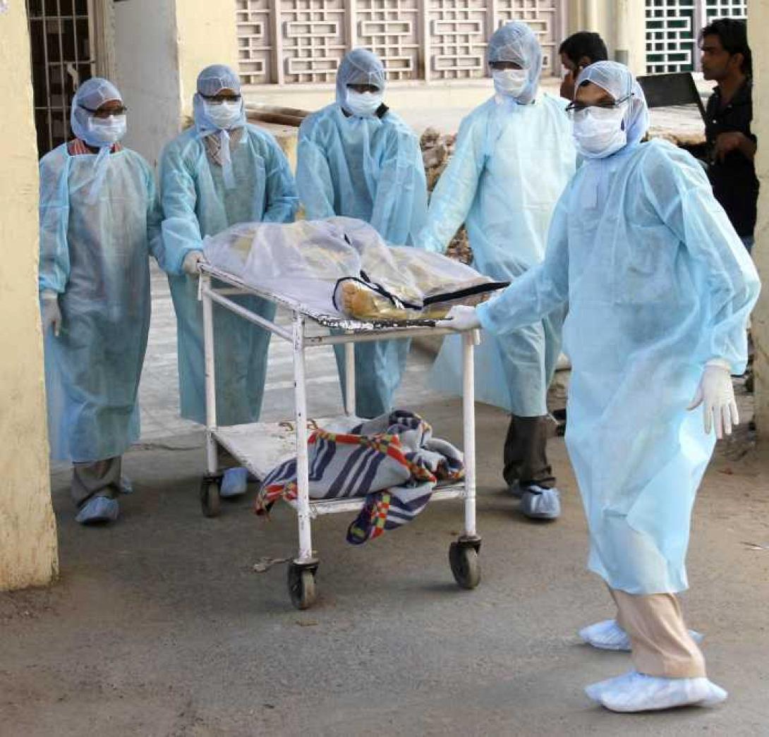 γρίπη χοίρων