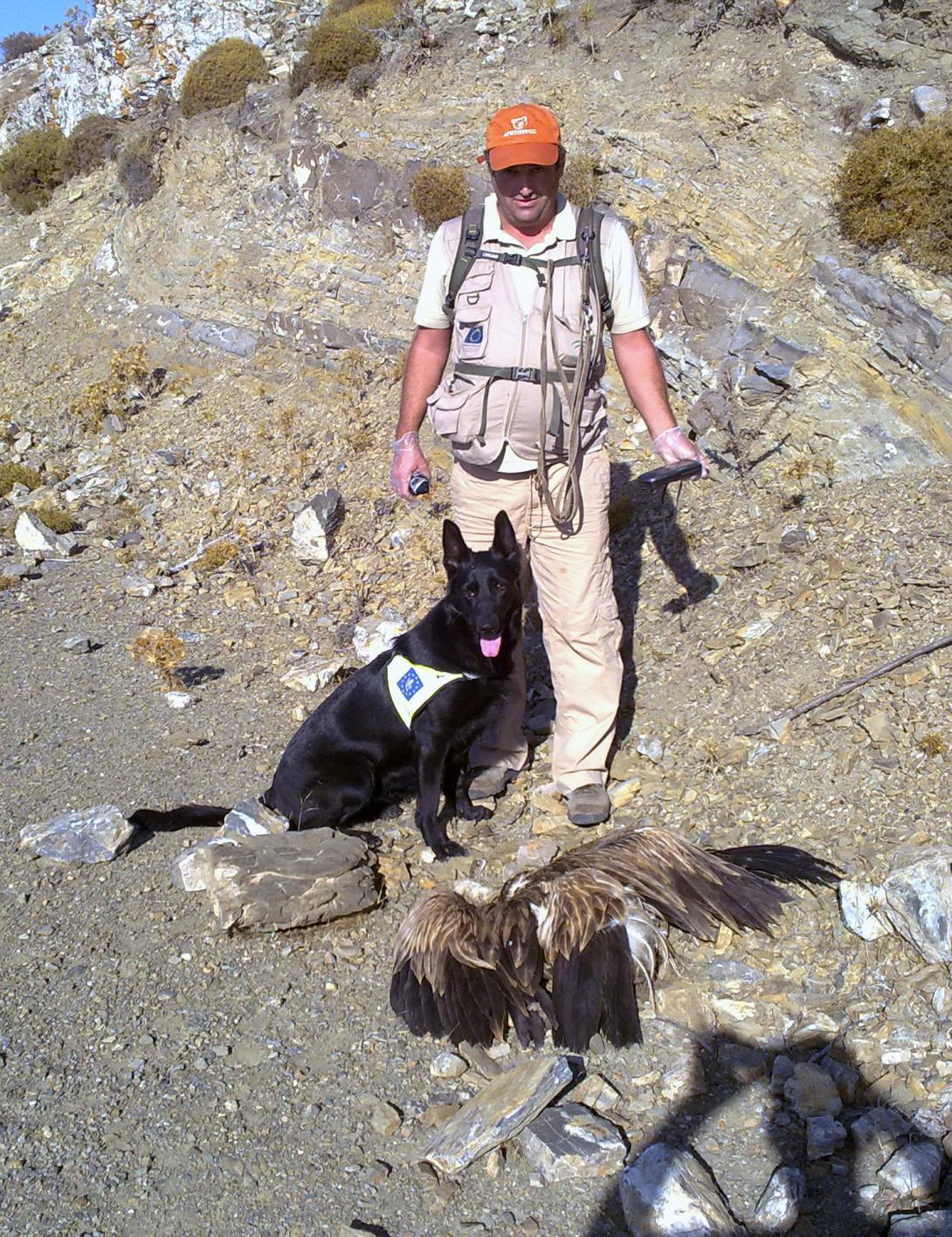 Απαγορευμένα αγροχημικά στη Κρήτη