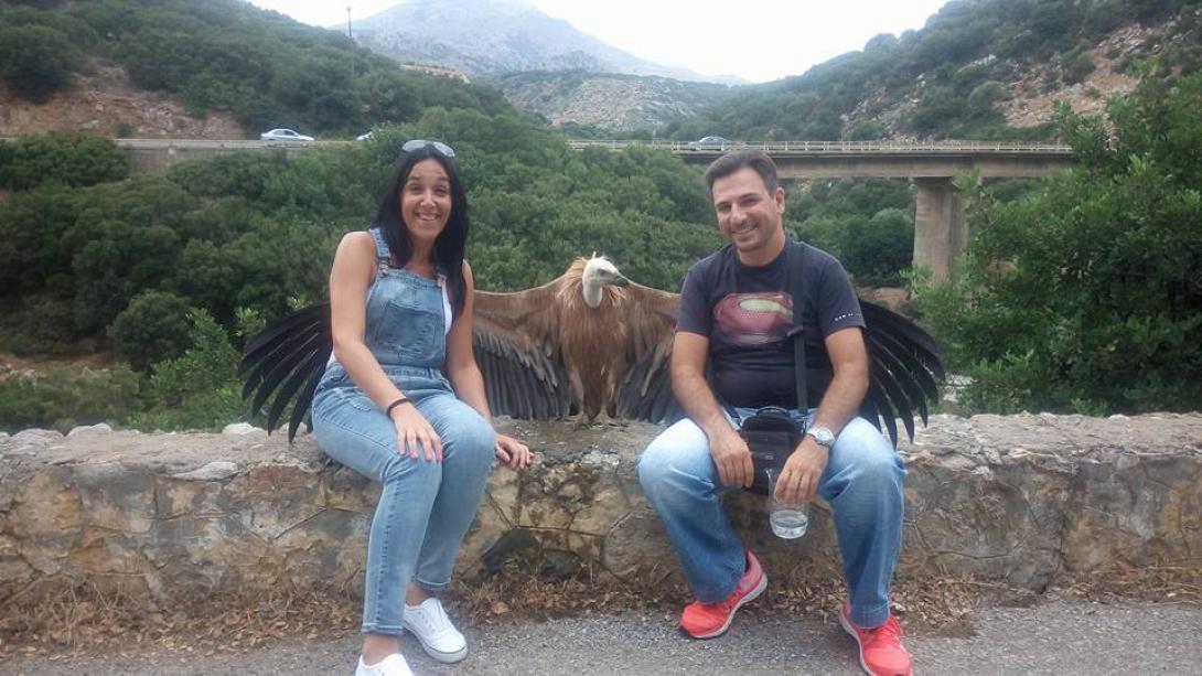 Γύπας Λασίθι