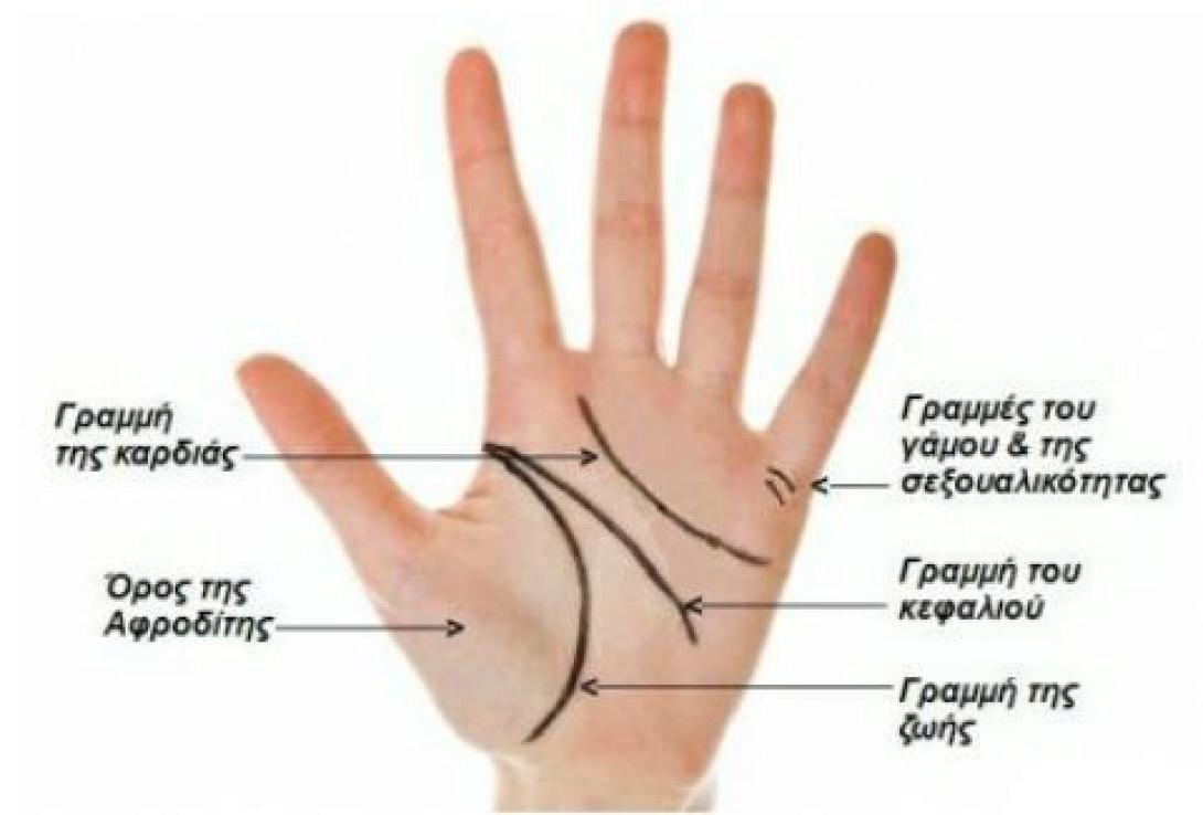 hand1.jpg