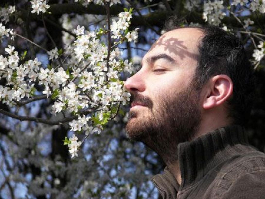 Παιδικό εργαστήρι στη Βικελαία με τον συγγραφέα Κ. Χαραλά