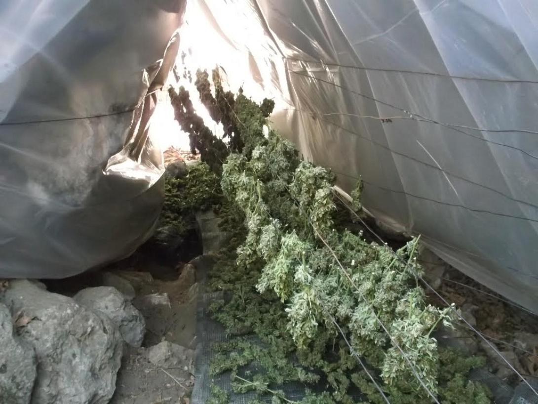 ρέθυμνο κάνναβη