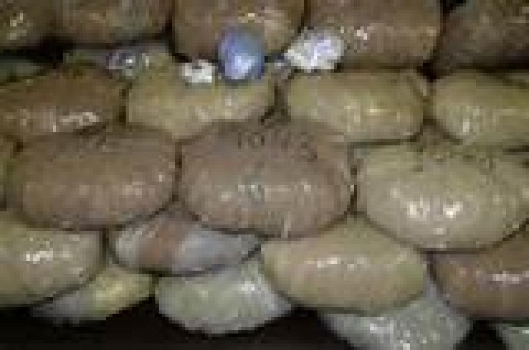 Στα χέρια της ΕΛ.ΑΣ. λαθρέμποροι ναρκωτικών με 322 κιλά χασίς