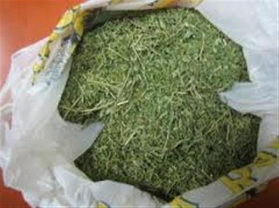 Ηράκλειο: Μισό κιλό χασίς στην κατοχή 24χρονου