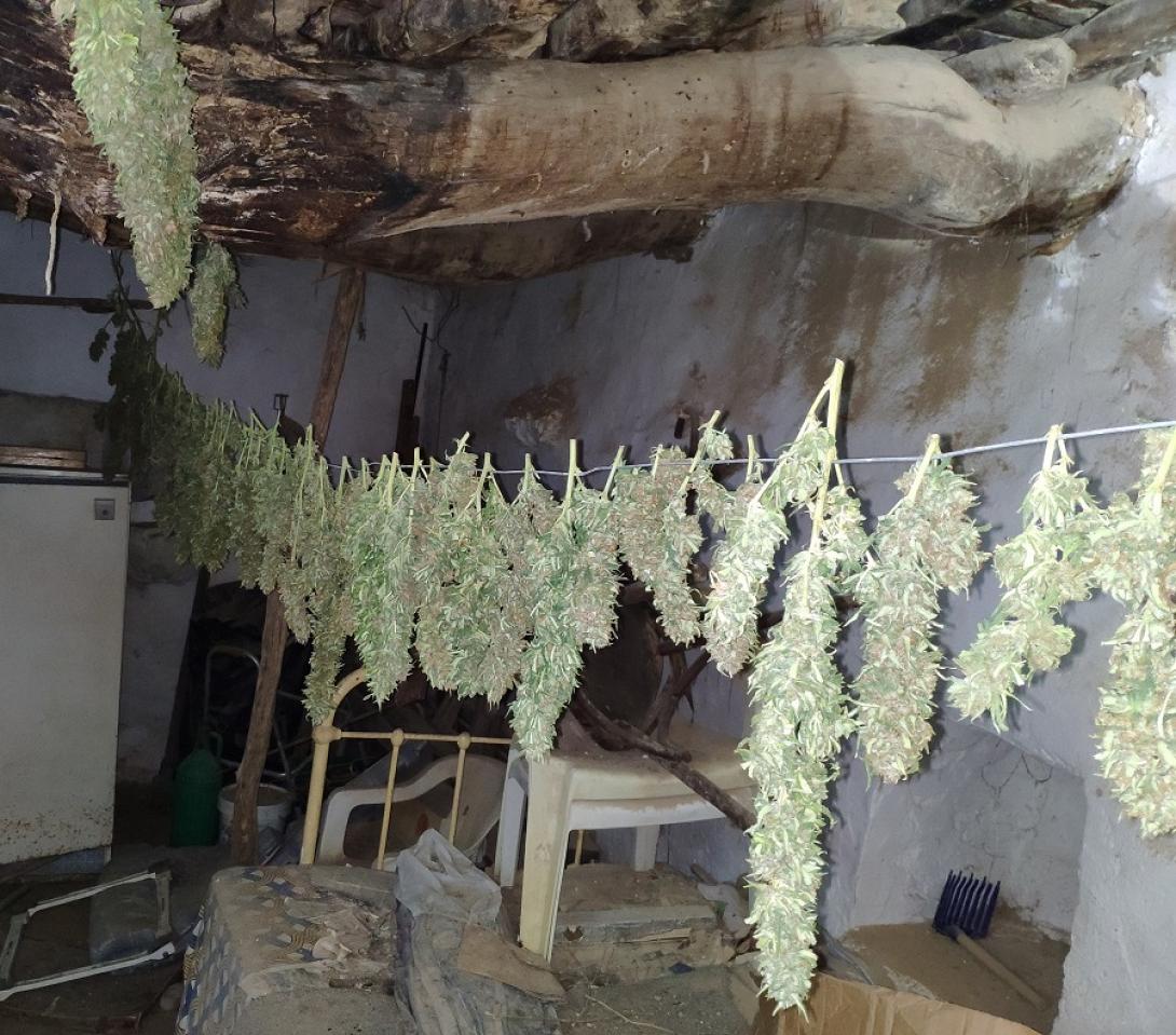 Οι τρεις ήταν εξπέρ του είδους