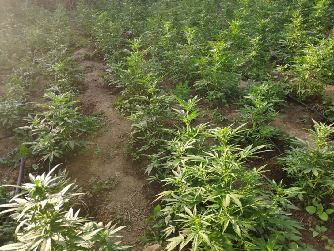 Νέα επιτυχία της ΕΛ.ΑΣ