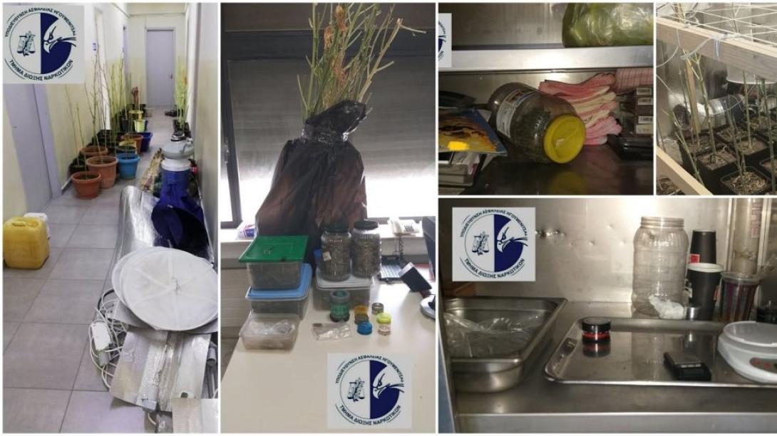 33χρονος είχε μετατρέψει το κυλικείο του ΤΕΙ σε κέντρο διακίνησης κάνναβης