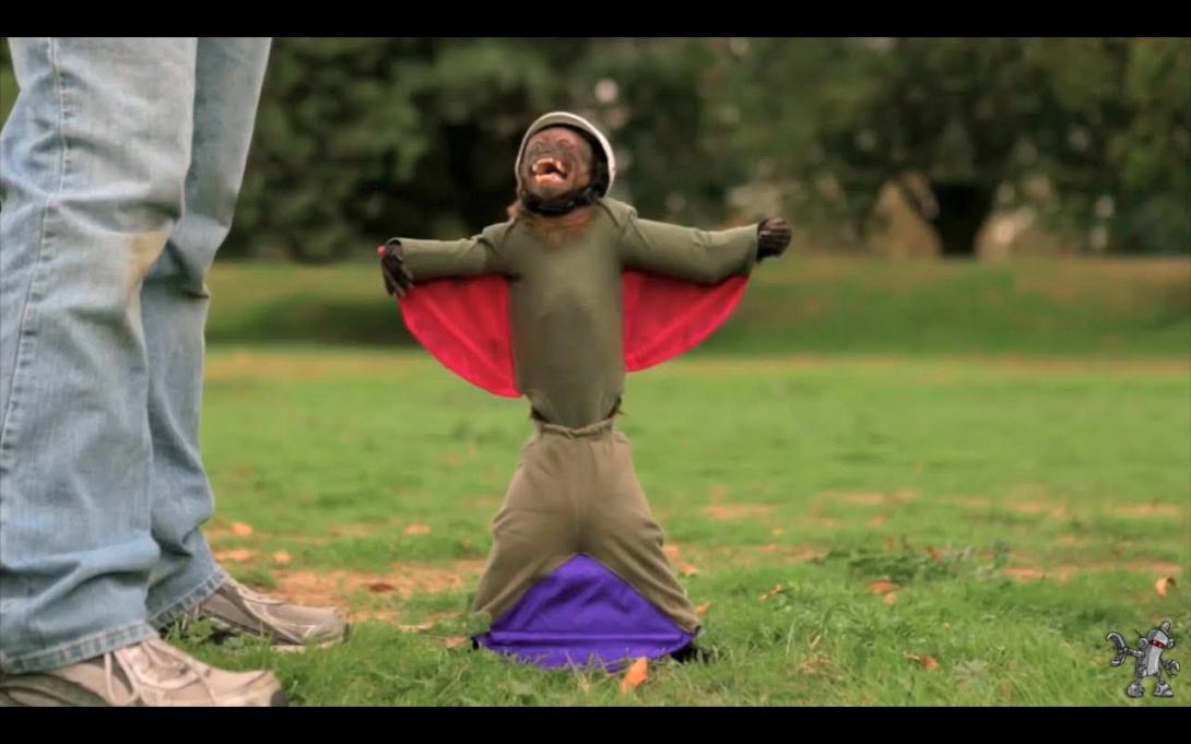 Βίντεο: Τα καταπληκτικά ζώα