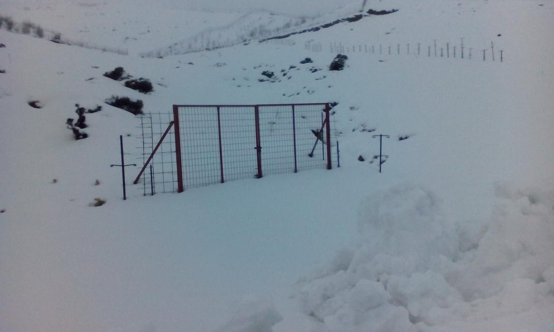 Χιόνια (οχι για χρήση)