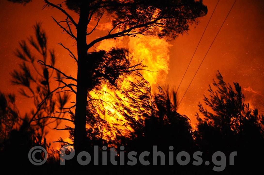 χιος καταυλισμος