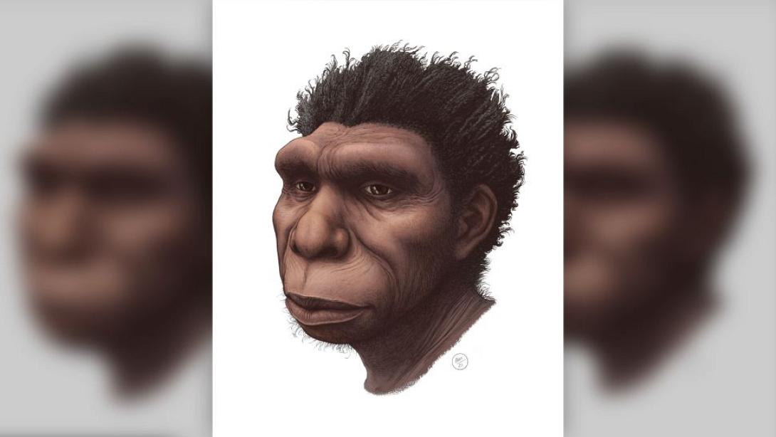 Homo bodoensis