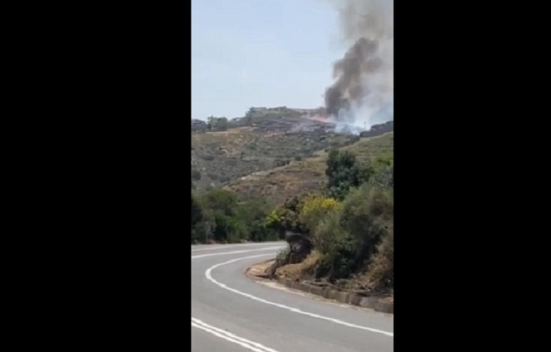 φωτια Λυγαρια