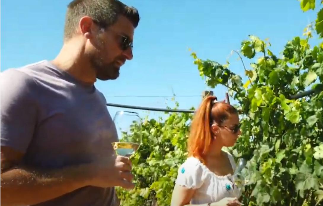 Στέλλα - Δημήτρης