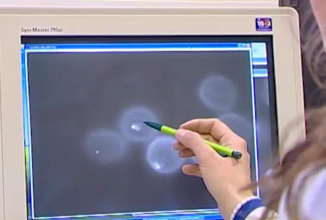 Ιατρικη ΙΤΕ