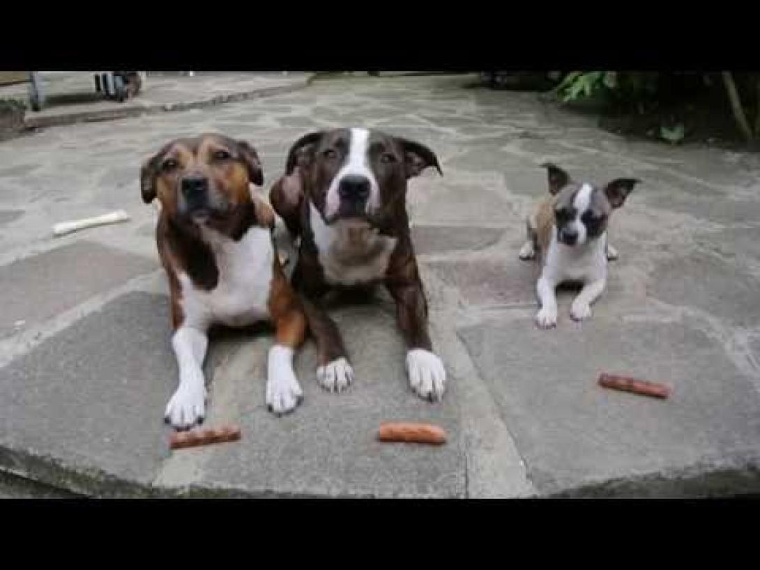 Τη Σαββαΐδου στη θέση του Θεοχάρη προτείνει ο υπ.Οικονομικών