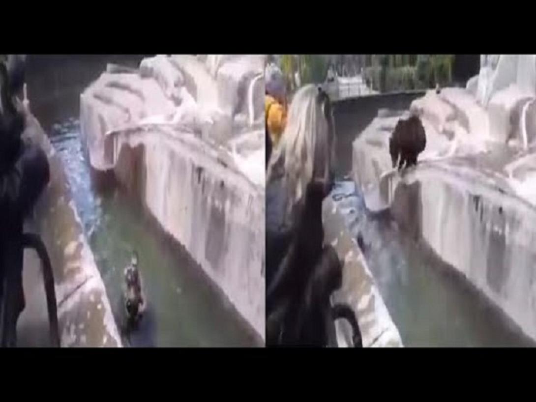 μεθυσμενος αρκούδα