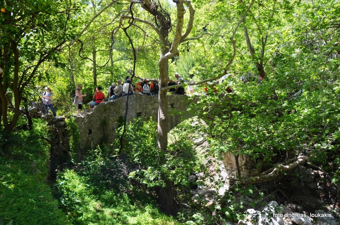 Ορειβατικος Συλλογος