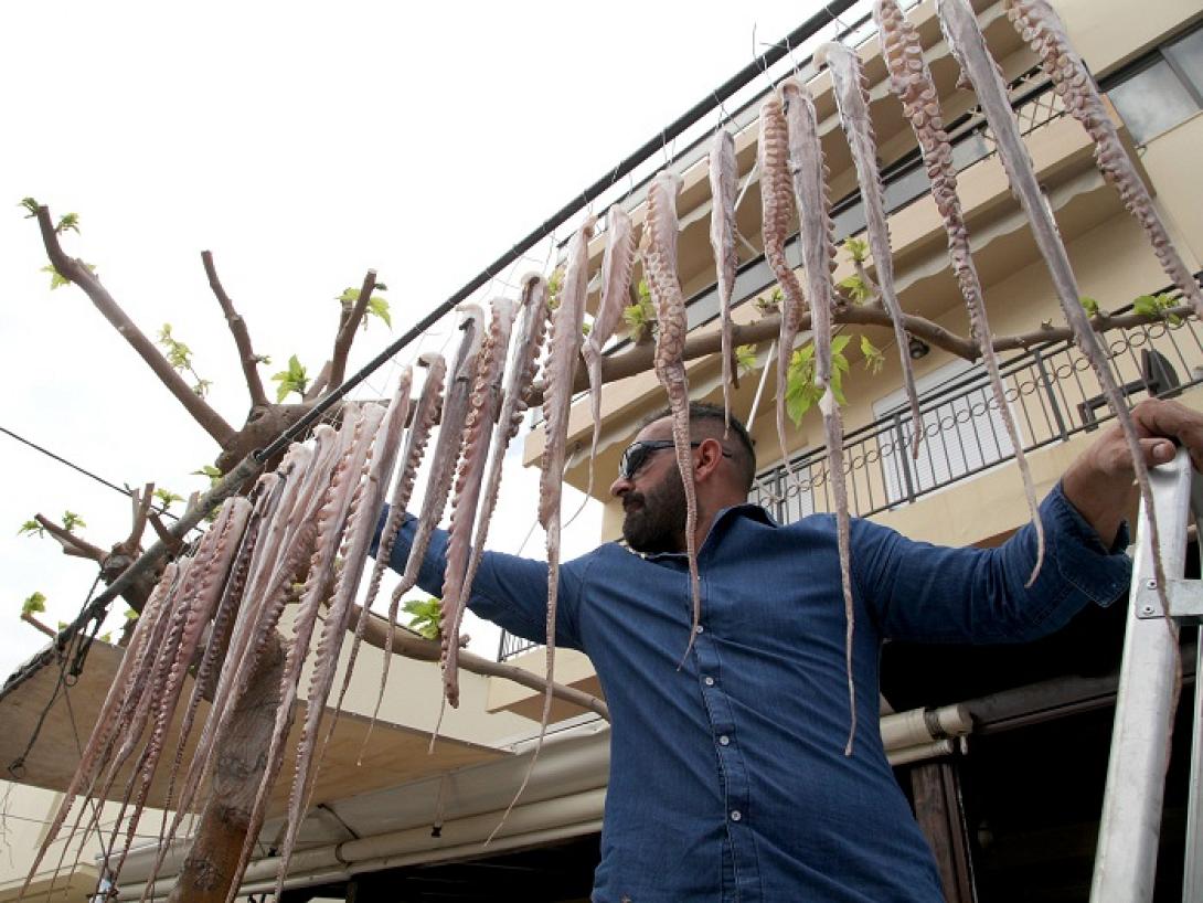 χταπόδια μεγάλη παρασκευή