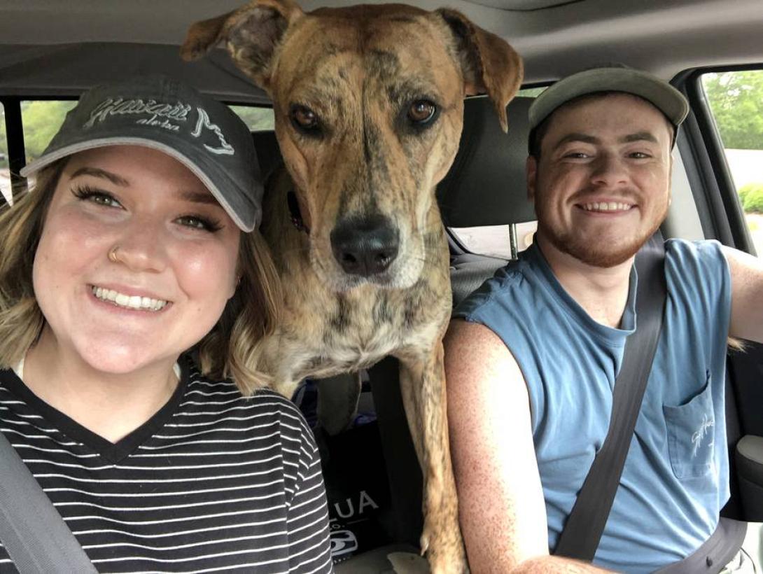 σκυλίτσα νότια καρολίνα