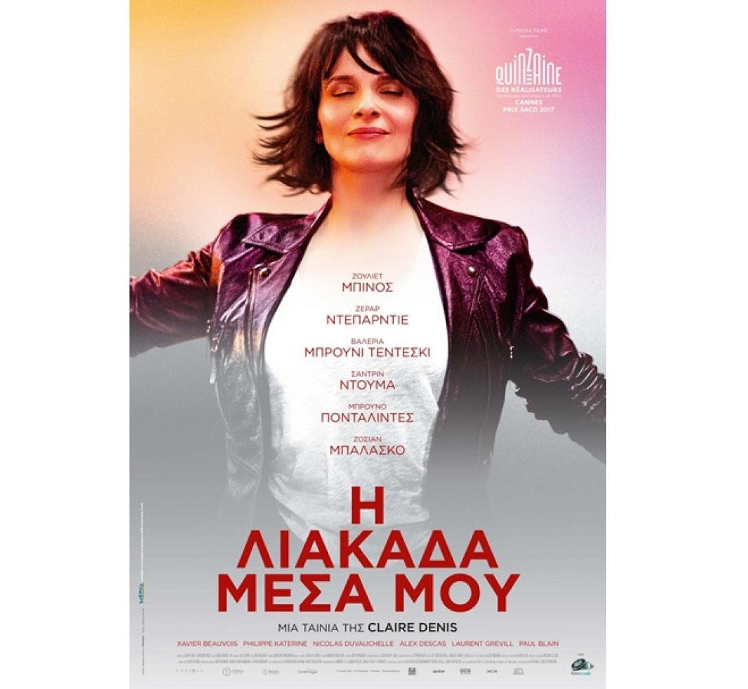 i_liakada_mesa_moy_tainies_2017_sinema_kinimatografos.jpg