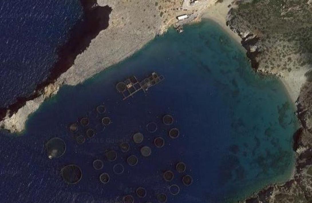 ιχθυοκαλλιέργεια σητείας