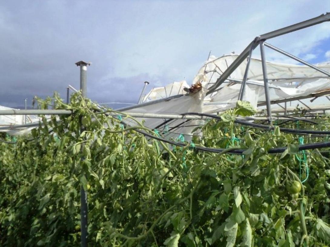 "Τα πήρε και τα σήκωσε" ο ανεμοστρόβιλος τα θερμοκήπια στην Ιεράπετρα 