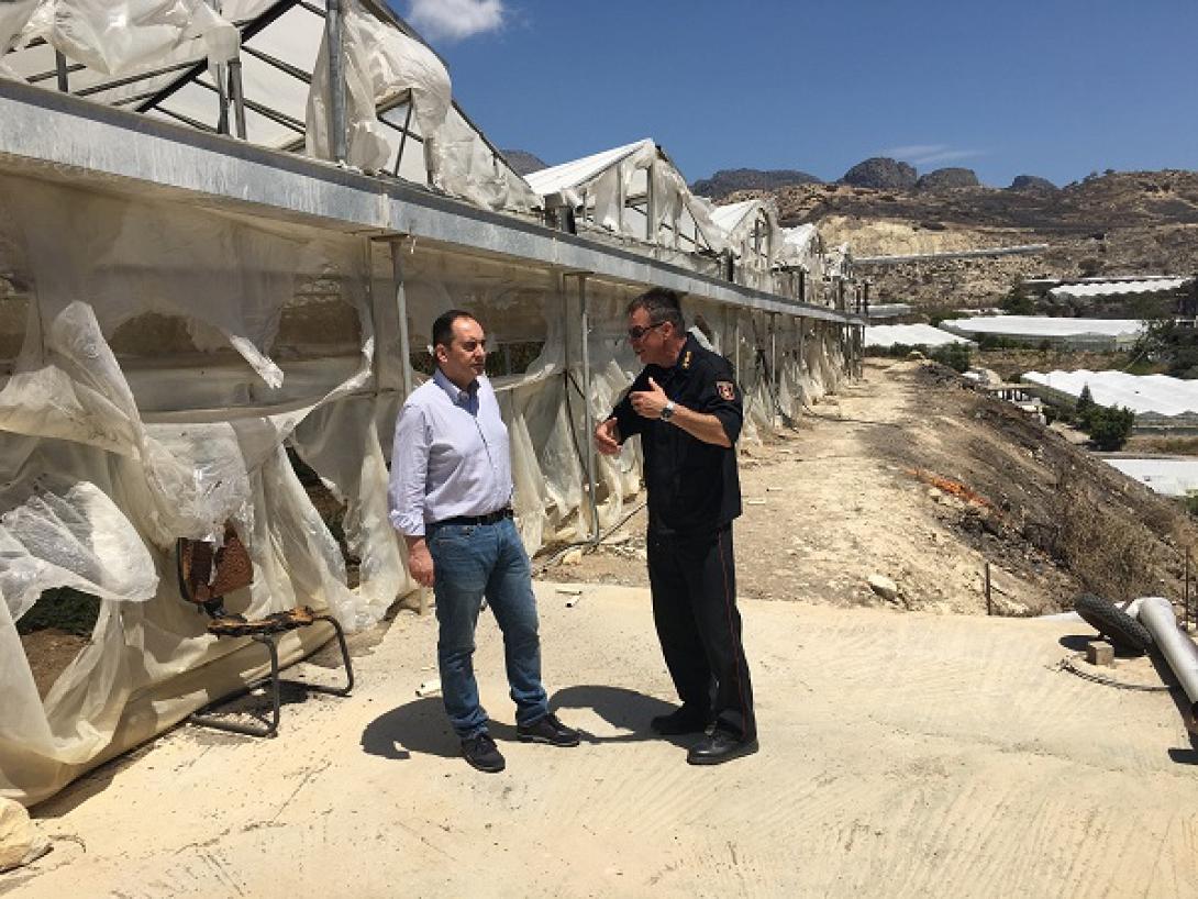 πλακιωτακης