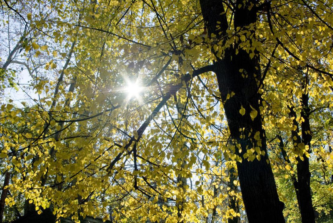 φθινοπωρινός ήλιος