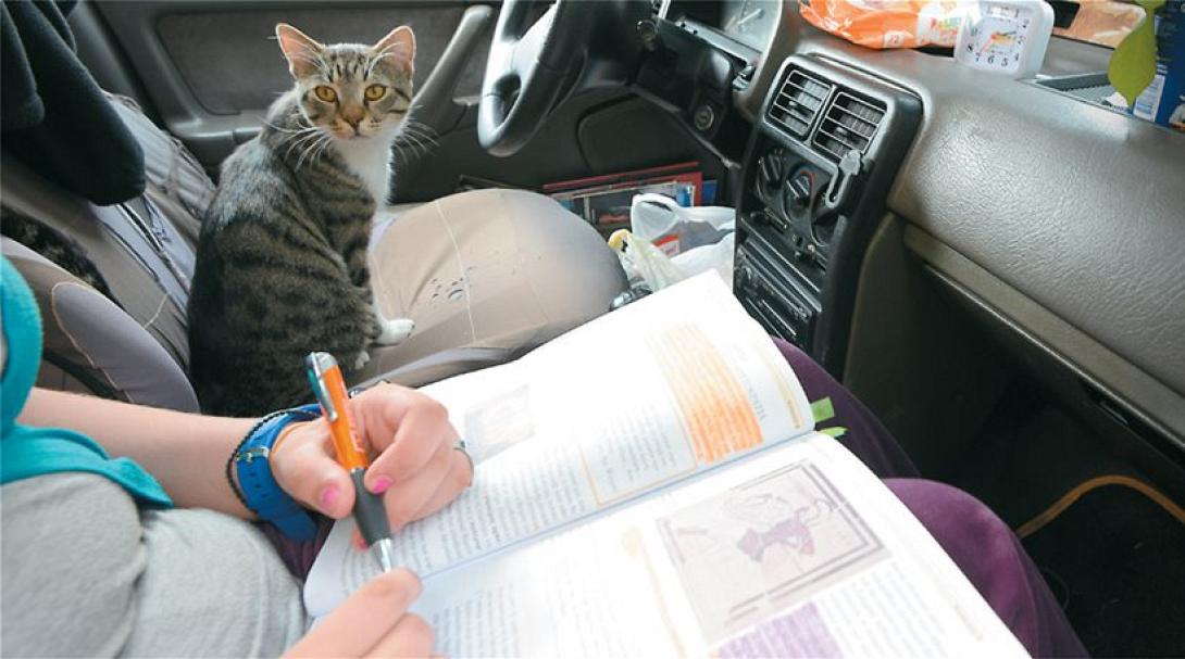 Εικόνες σοκ: Οικογένεια ζει στο Ι.Χ. λόγω έξωσης - Τα παιδιά διαβάζουν στο αυτοκίνητο