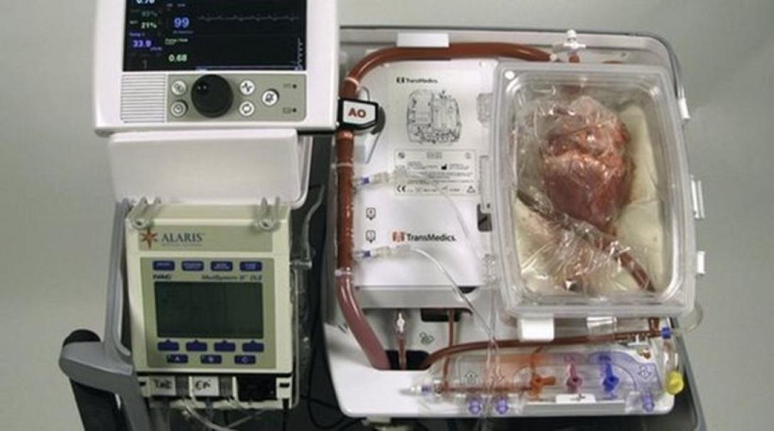 «Επιτύμβια» πλάκα για την Ντόλι, το κλωνοποιημένο πρόβατο