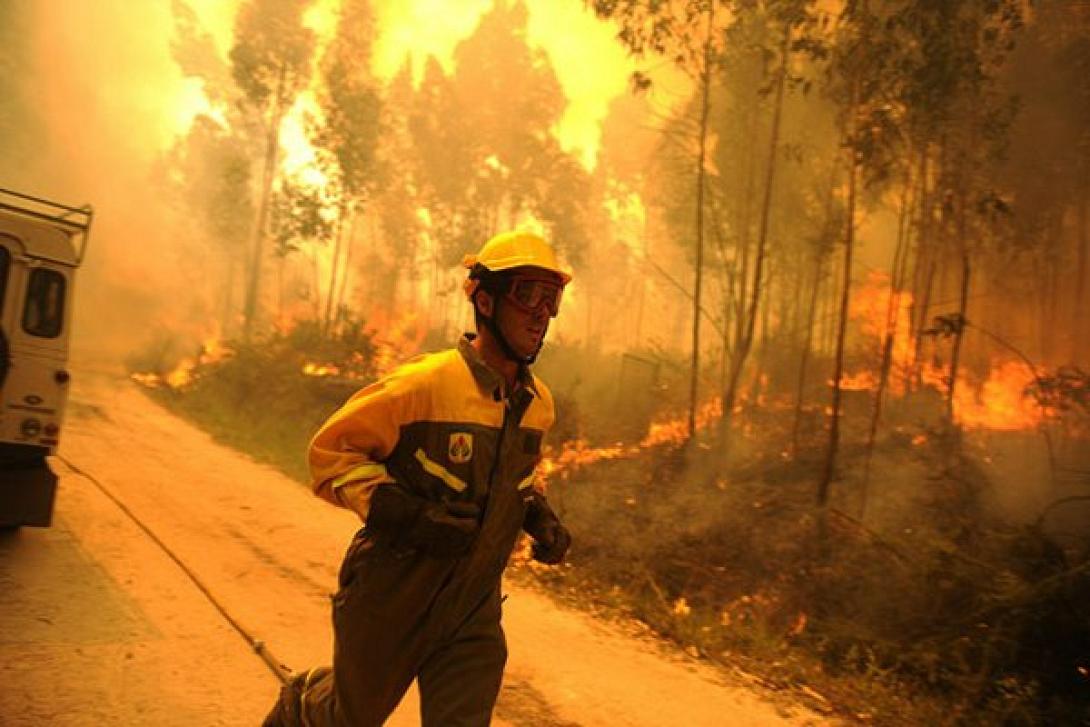 πυρκαγια,πορτογαλλία