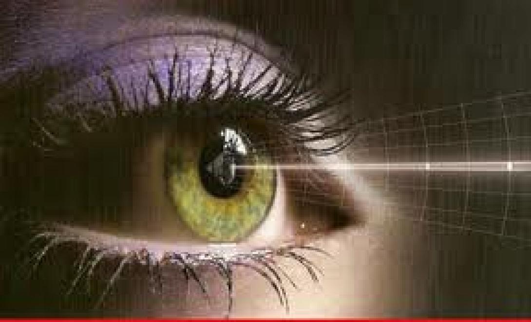 Κατασχέθηκε γαϊδούρι στη Ρόδο λόγω κακομεταχείρισης