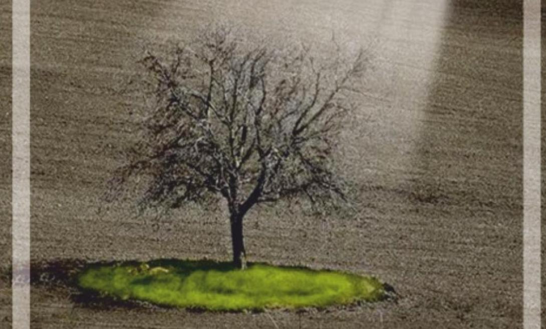 Τρόποι αντιμετώπισης της αυτοκτονίας - Ημερίδα από την Περιφέρεια Κρήτης