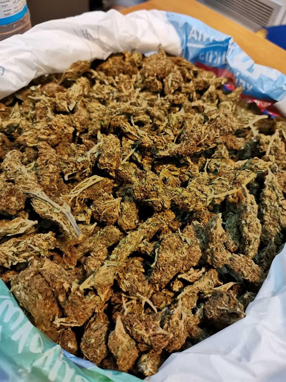 Βρέθηκαν στο σπίτι του 785 γραμμάρια κάνναβης