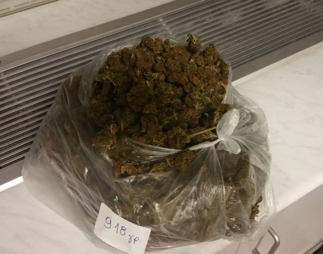 κάνναβη καμίνια