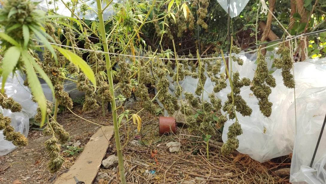 Η έρευνα των αστυνομικών έφερε στο φως τα ναρκωτικά