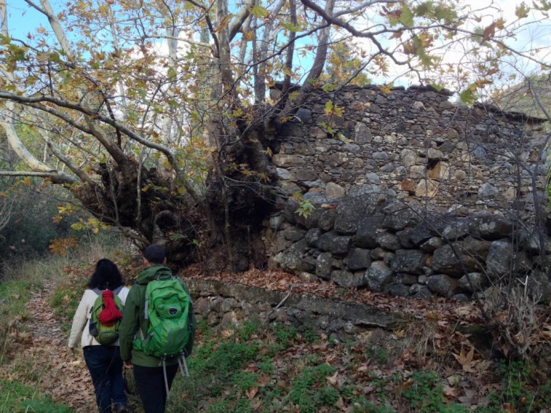 τουρισμός υπαίθρου