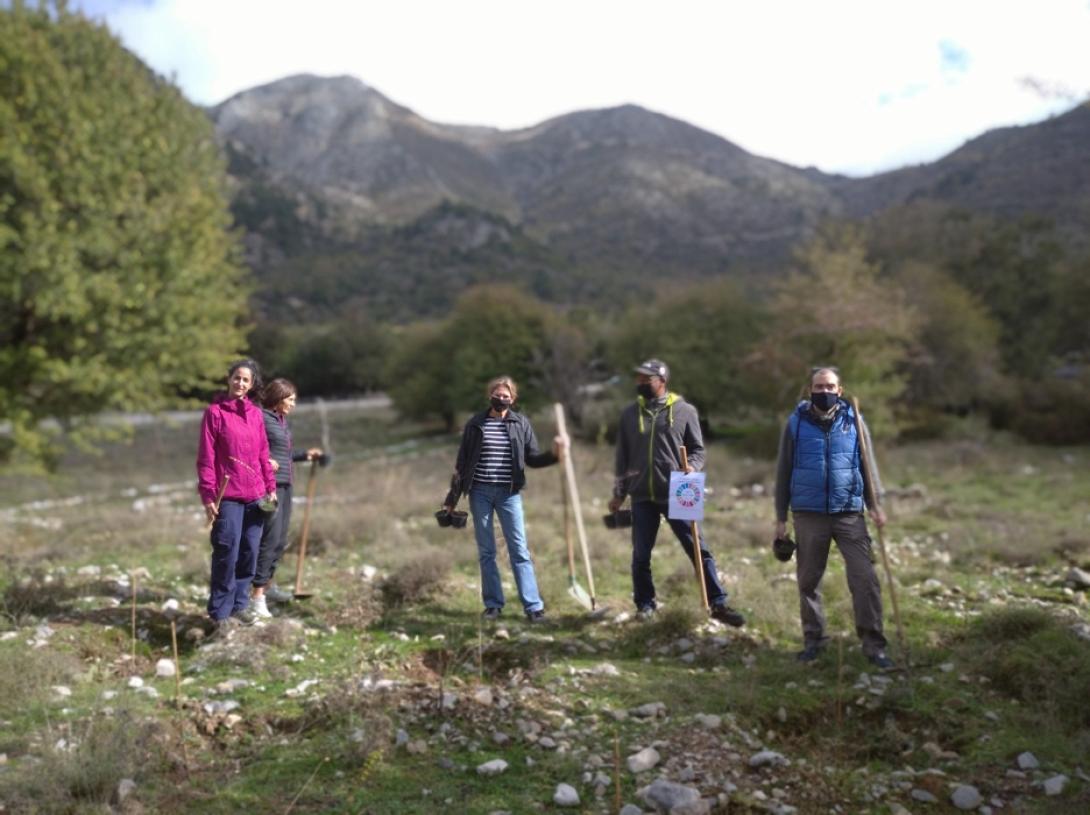 δενδροφυτευση