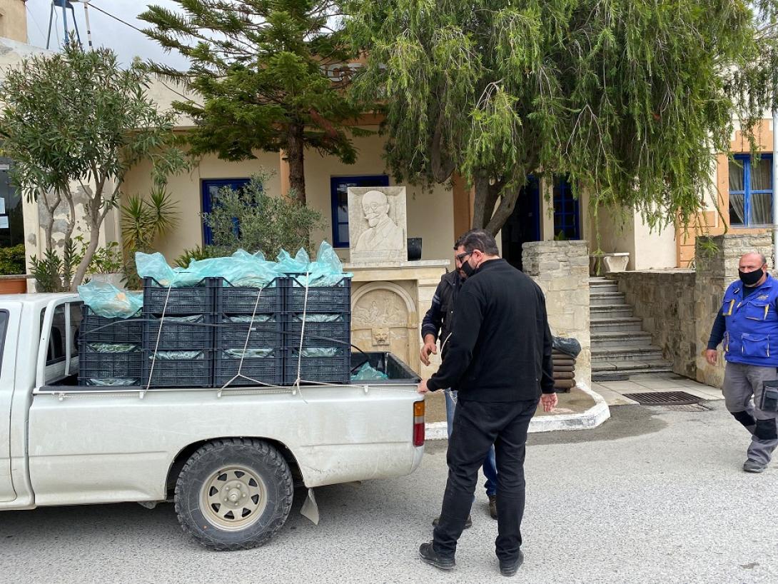 Δήμος Φαιστού.