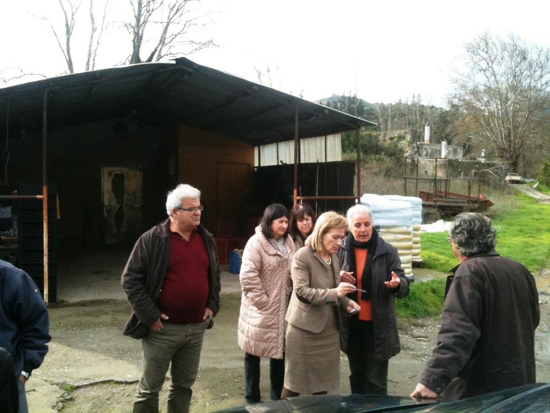 Η Περιφέρεια στηρίζει την ανάπτυξη πρότυπων-βιώσιμων καλλιεργειών