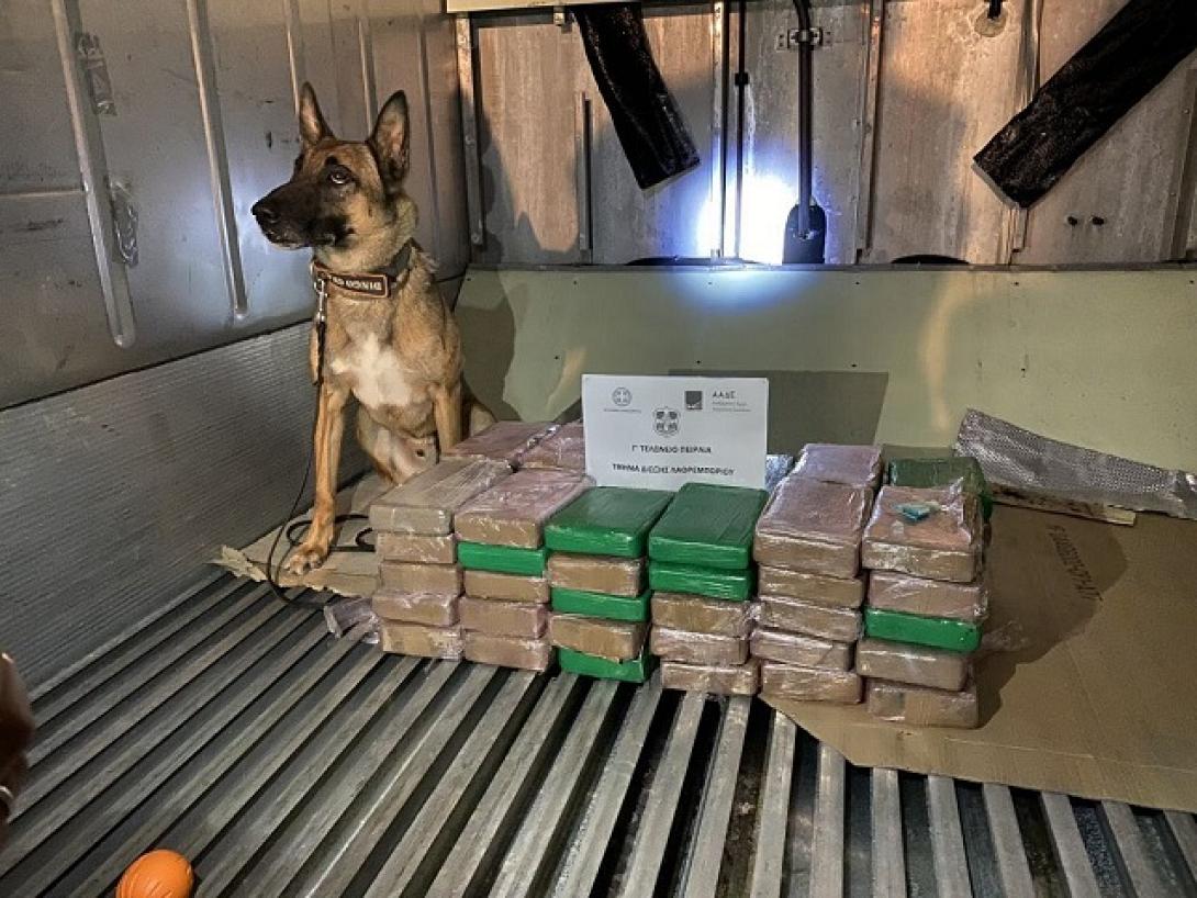 ΑΑΔΕ : Εντοπισμός μεγάλου φορτίου κοκαΐνης σε κοντέινερ με μπανάνες