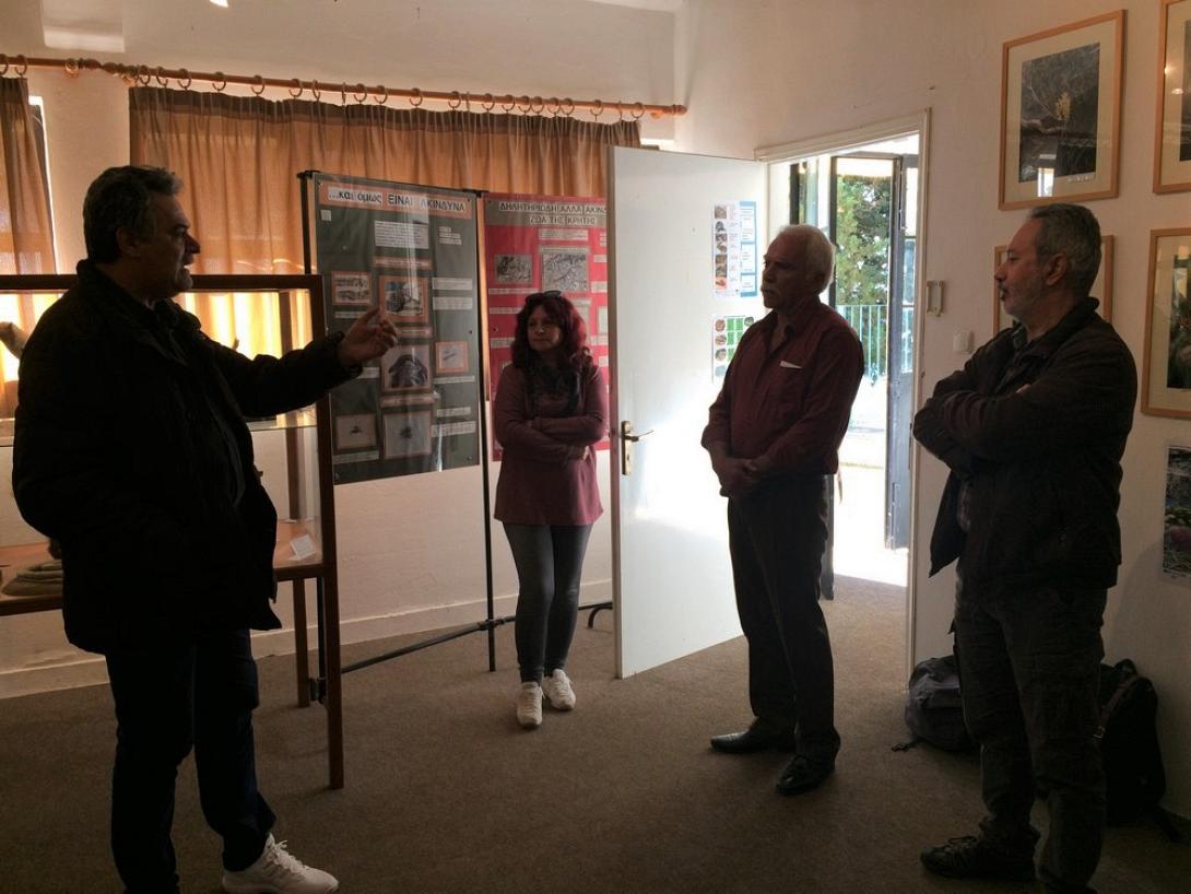 μουσειο φυσικης ιστοριας γεργερη.jpg