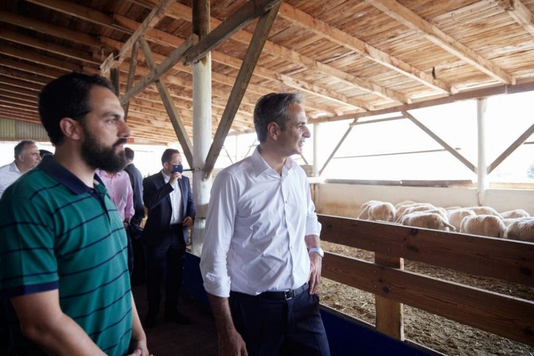 Κυριακος μητσοτακης - φαρμα