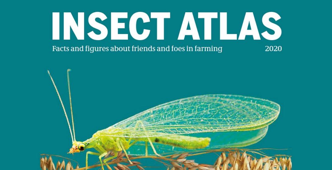 insect atlas