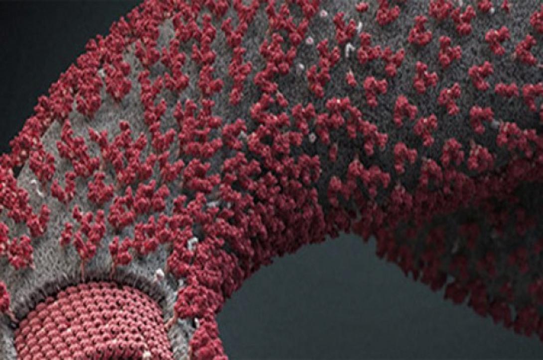 Τσεχία: Εκβιαστές απειλούν να διασπείρουν στη χώρα τον ιό Έμπολα