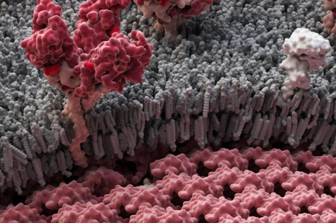 Τα συμπτώματα του ιού Έμπολα - Τι αισθάνεται ο ασθενής