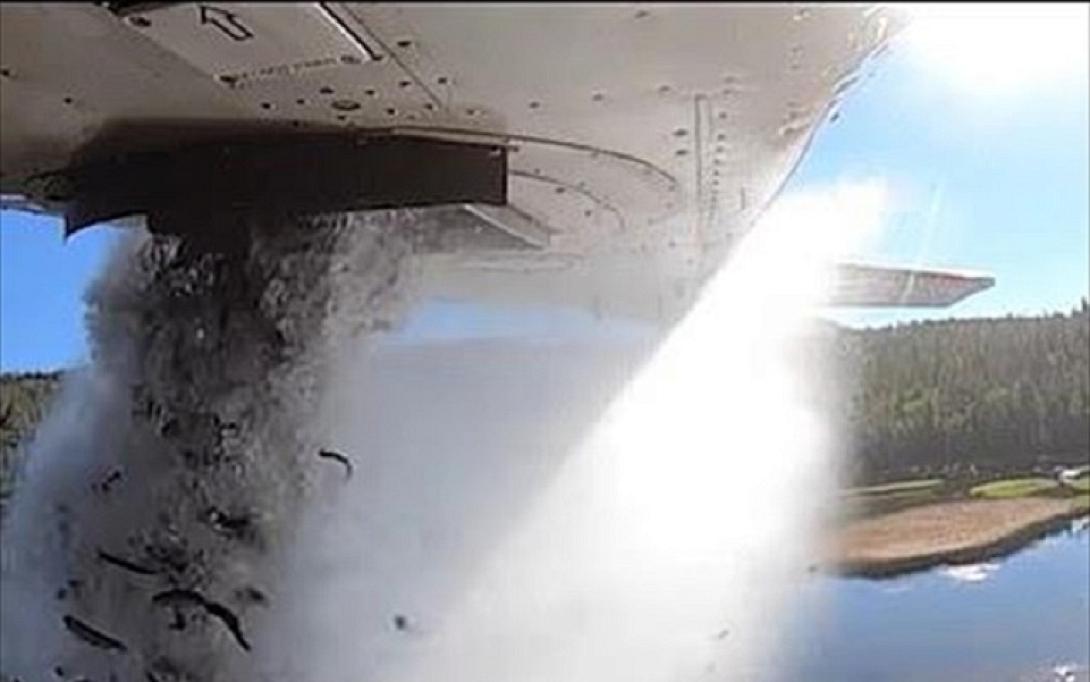 ιπταμενα ψαρια