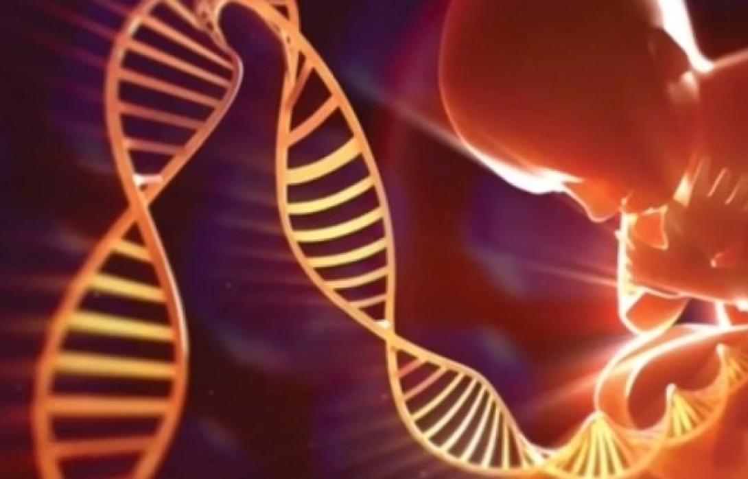 γονίδια γκέι